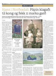Síða 20