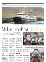 Síða 8
