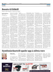 Síða 28