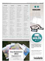 Síða 29