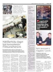 Síða 31