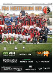 Síða 17