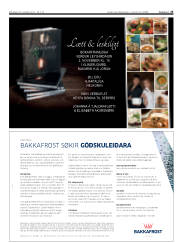 Síða 25