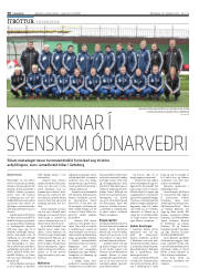 Síða 30