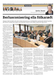 Síða 17