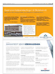 Síða 25