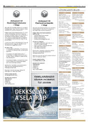 Síða 30