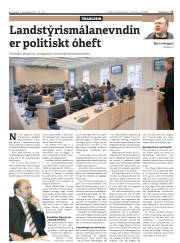 Síða 11