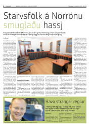Síða 4