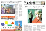 Síða 12