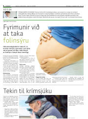 Síða 8