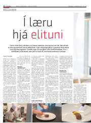 Síða 12