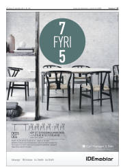 Síða 17