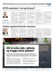 Síða 19
