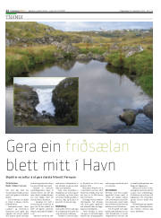 Síða 12