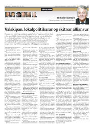 Síða 15