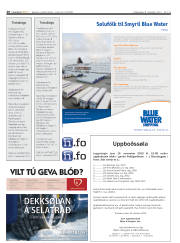 Síða 20
