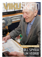 Síða 33