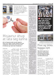 Síða 25
