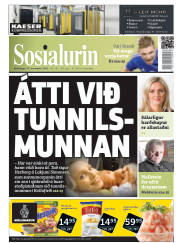 Síða 1