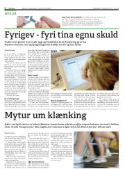 Síða 8