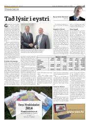 Síða 15