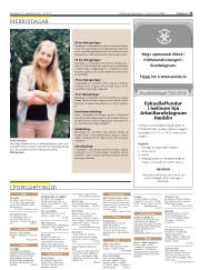 Síða 33