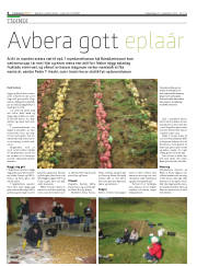Síða 4
