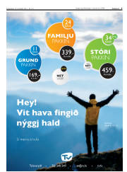 Síða 5