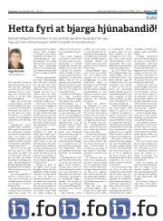 Síða 17