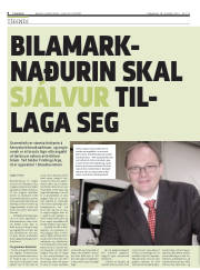 Síða 6