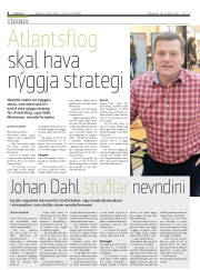 Síða 8