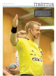 Síða 13