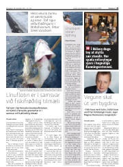 Síða 25