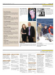 Síða 31