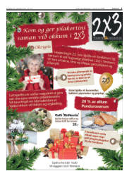 Síða 5