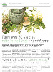 Síða 8
