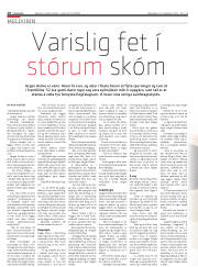 Síða 10