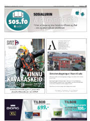 Síða 33