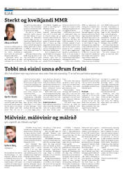 Síða 20
