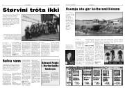 Síða 3