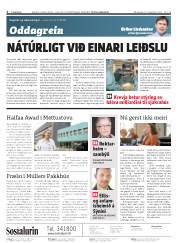 Síða 2