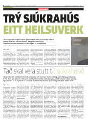 Síða 6