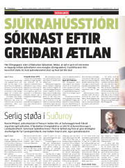 Síða 8