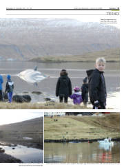 Síða 11
