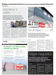 Síða 12