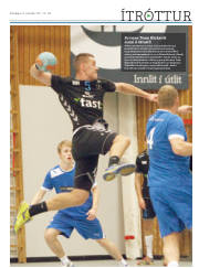 Síða 15
