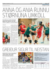 Síða 17