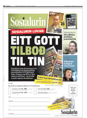 Síða 20