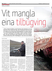 Síða 10